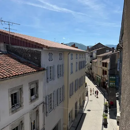 Cosy Au Coeur De Saint-girons Διαμέρισμα *